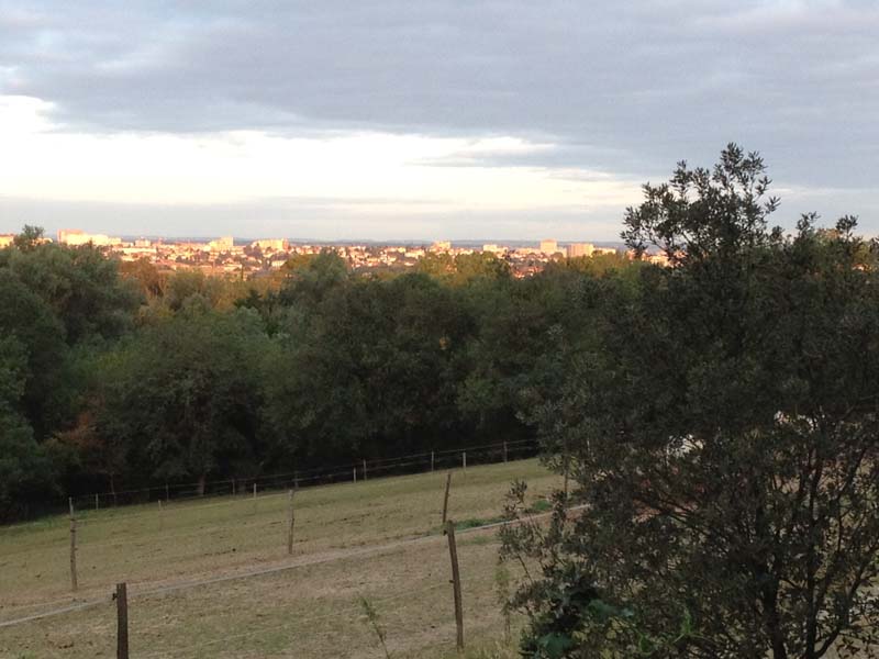 Château de Thegra_31130 BALMA_12